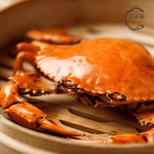正宗深圳 膏油黄油蟹4两/只(4只装)半膏半油特大青蟹母蟹包活