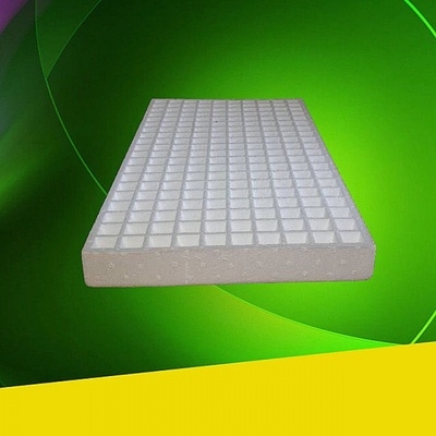 8个草漂浮育i苗盘泡沫漂盘蔬菜育苗种菜穴盘育秧盘水上漂