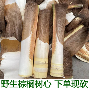 现砍新鲜甜棕树心棕树尖棕榈芯棕树头棕榈心棕榈树树心1个包邮