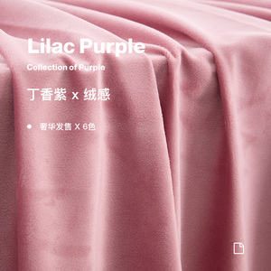 丁香粉紫色丝绒窗帘2023新款深浅轻奢法式客厅卧室遮光绒布ins风
