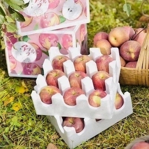 四川大凉山丑苹果新鲜当季水果冰糖心苹果整箱五斤