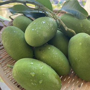 攀枝花爱文芒果新鲜10斤吉禄芒新鲜水果当季整箱苹果芒4294人付款22