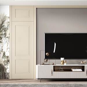 电视背景墙带隐形门现代