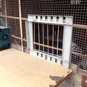 门撞门专c用鸽棚上配件放飞门赛鸽具活洛门跳笼门鸽子活动信鸽