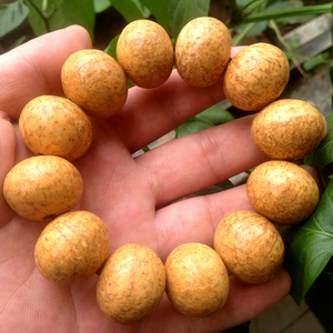 金刚-血丝品手串颗21龙珠天然天竺臻超大27mm菩提子手持万500