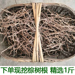 【棕榈树根】棕榈树根品牌,价格 - 阿里巴巴