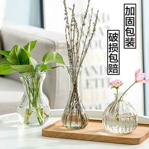 透明玻璃花瓶客厅摆件清新个性简约现代创意插花瓶子水培植物容器