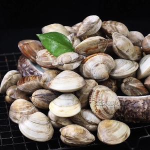 tuo花野蛤鲜活花甲肉生捕捞蛤蜊新鲜海花蚬子杂色蛤花蛤蜊4斤鲜包