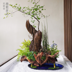 沉木枯木插花摆件特大树根木雕杜鹃木中华花艺禅意复x古装饰景观