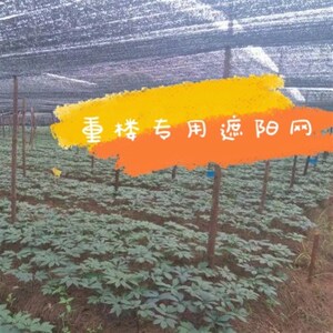专用大姜蔬菜老遮阳r网药材三七平针大棚抗氧化重楼平织