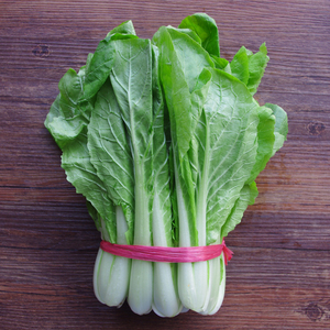 小白菜新鲜杭白菜火锅小青菜蔬菜油白菜白菜秧农家肥大叶菜包邮