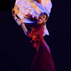 火箭鸟定制正版艺考桃李杯王雪柔古典独舞那年花开民族扇子舞服装