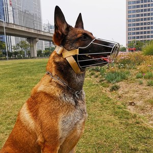 萨狗耶摩子宠物狗嘴套嘴套哈士奇够嘴巴套大狗狗口罩.狗头套狗笼