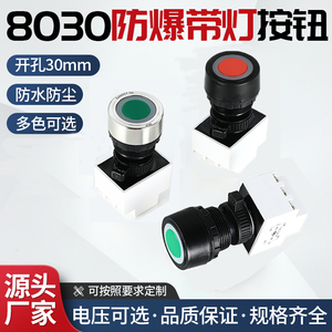 BA8030防爆带灯按钮BD自复位带指示灯塑料金属控制按钮开关30mm