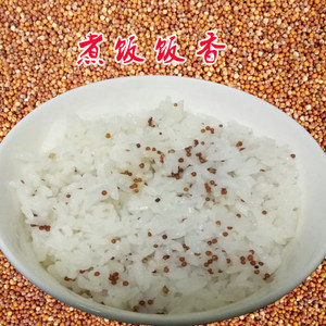 贵州赤水特产红稗米散装小米杂粮鸡爪粟营养五谷杂