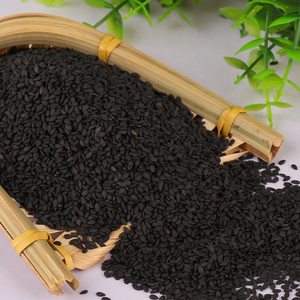 黑芝麻生沂蒙山