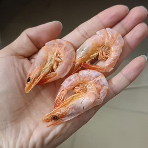 汕尾虾脯  虾干零食 潮汕虾干 即食对虾干 干货烤虾普虾250g烤虾