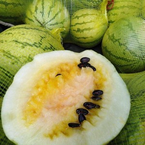 甘肃兰州靖远会宁民勤小籽黄壤籽瓜打瓜低糖水果包邮应季水果8~10