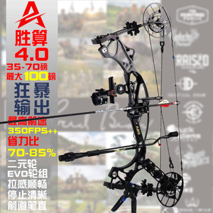 0复合弓射箭高速非pse马修斯霍伊特户外专业竞技8090磅弓箭_阿里巴巴