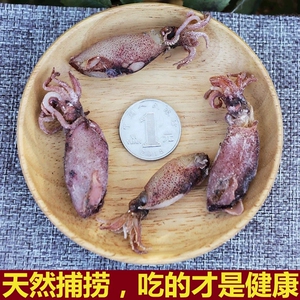 新晒鱿鱼仔干货 250g 大连海兔 墨鱼仔 天然乌贼笔管鱼 海鲜特产