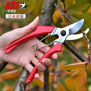 新款日本爱丽斯修枝剪ars120dx树枝剪果树剪子剪刀园林工具粗枝剪