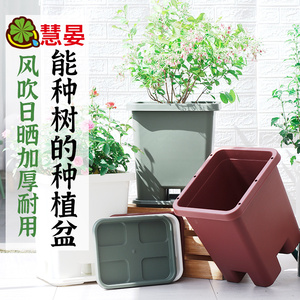 家用阳台种树专用箱懒人塑料花盆自吸水盆栽果树花卉种菜植箱室外