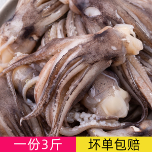 鱿鱼须新鲜冷冻商用火锅食材烧烤鱿鱼头生鲜半成品捞汁海鲜尤鱼须