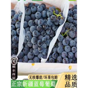【顺丰】新疆蓝莓葡萄新鲜水果当季现摘吐鲁番无籽葡萄黑提子包邮