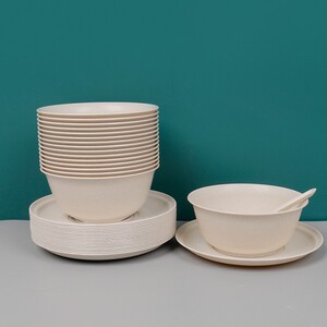 800人付款淘宝一次性航空水晶餐具 ps硬塑料烧烤碗勺杯酒店宴席十件