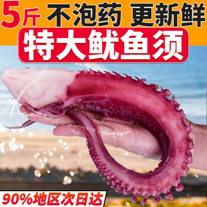 特大鱿鱼须鲜活冷冻新鲜章鱼足八爪鱼腿铁板鱿鱼商用生鲜海鲜水产