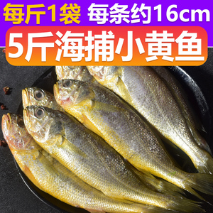 5斤小黄花鱼青岛新鲜海捕鲜活冷冻香酥小黄鱼鲞商用生鲜海鲜水产