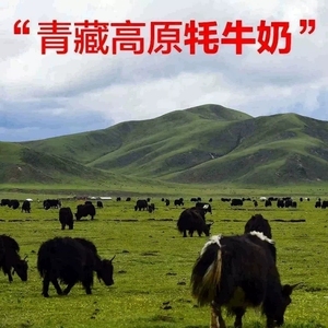 西藏特产高原圣乳营养奶片牦牛奶贝草原奶片原味儿童糖果牦牛奶条