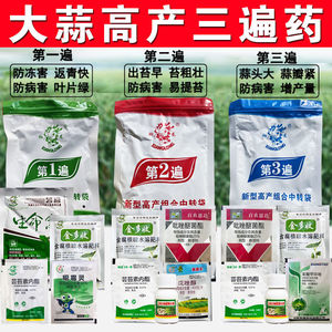 大蒜专用大蒜产三遍药膨大防病干尖黄叶防冻叶绿洋葱高产套餐