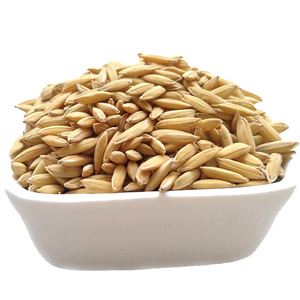 农家自种喂鸡鸭吃的稻谷带壳50斤稻谷带壳喂l鸡100v斤水稻鸡吃谷