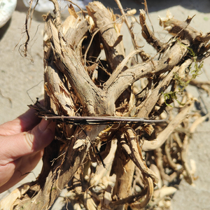 正品野生金银花根藤忍冬藤老根树根干货宝宝洗澡泡澡泡酒老桩