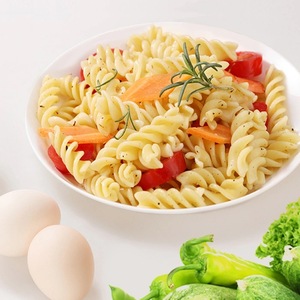 葵树牌螺纹粉意大利意面400g低脂方便速食螺旋意粉儿童早餐空心粉