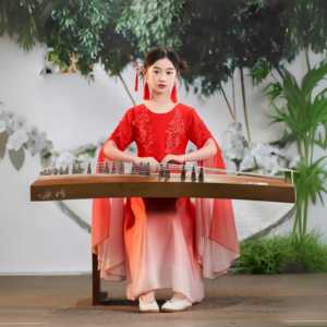儿童古典舞演出服女童飘逸纱衣中国风古筝舞蹈服装大童古筝表演服