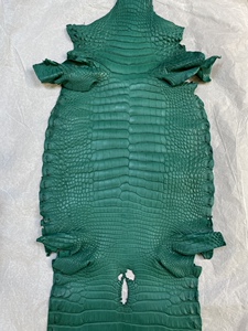 美洲鳄鱼皮皮料