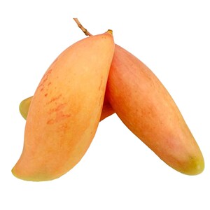 10斤攀枝花红象牙芒果新鲜现摘香蕉芒可生吃辣椒新