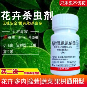 小黑飞专杀花土里的虫子驱花盆里小飞虫蚜虫植物花卉除虫杀虫剂药