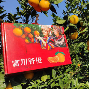 广西富川当季飞机盒高定礼盒12个装脐橙整箱橙子新鲜水果现摘现发