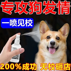 狗狗禁情粉绝育药母狗公狗喷雾宠物发情绝育专用犬用抑制防乱抓尿