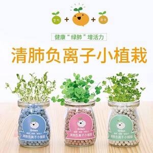 负离子玻璃瓶小盆栽水培办公室桌面心形情思草可爱情创意迷你植物