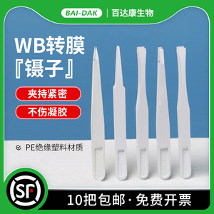 WB转膜夹膜镊子 防静电 白色塑料/黑色碳纤维 尖头平头扁头弯头