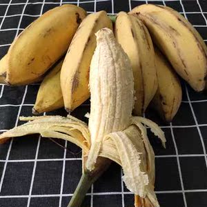 【巴焦芭蕉广西】巴焦芭蕉广西品牌,价格 阿里巴巴
