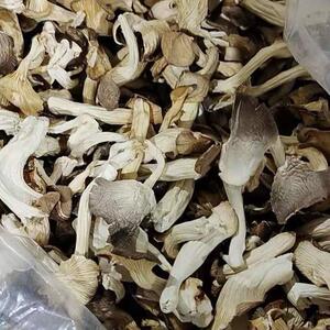 801人付款淘宝平菇干真姬菇 秀珍菇农