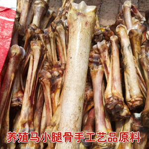 马腿骨