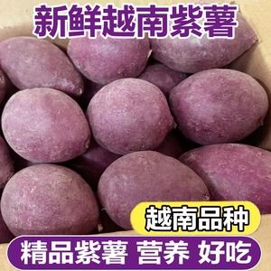 正宗越南小紫薯珍珠板栗紫薯新鲜现挖农家沙地自种粉糯香甜紫薯5