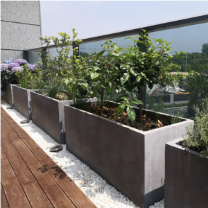 2028人付款淘宝水泥花盆花箱阳台种植箱长方形马槽定制花箱种菜神器