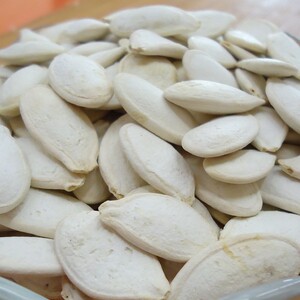 干果张  精品大白南瓜子休闲炒货白瓜子500g